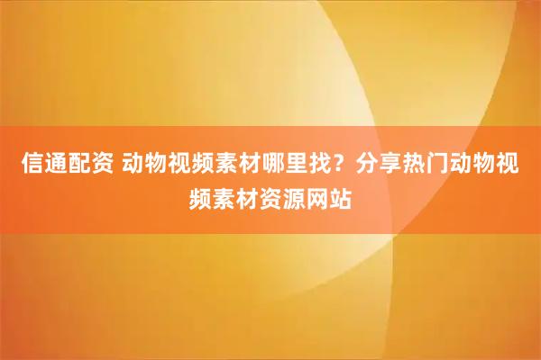 信通配资 动物视频素材哪里找？分享热门动物视频素材资源网站