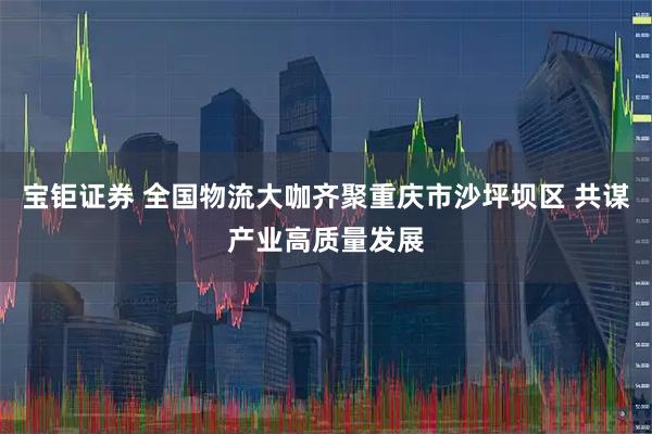 宝钜证券 全国物流大咖齐聚重庆市沙坪坝区 共谋产业高质量发展