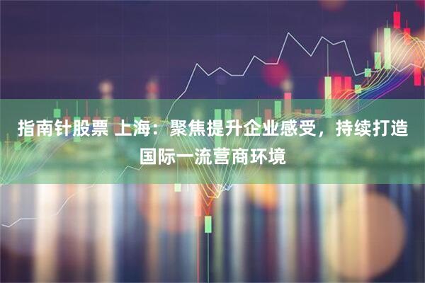 指南针股票 上海:聚焦提升企业感受,持续打造国际一流营商环境